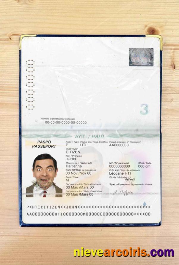 Haiti passport photolook